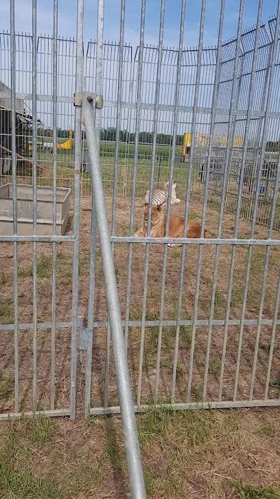 Image de Maison Rouge